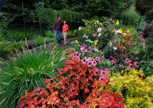 Morris Arboretum