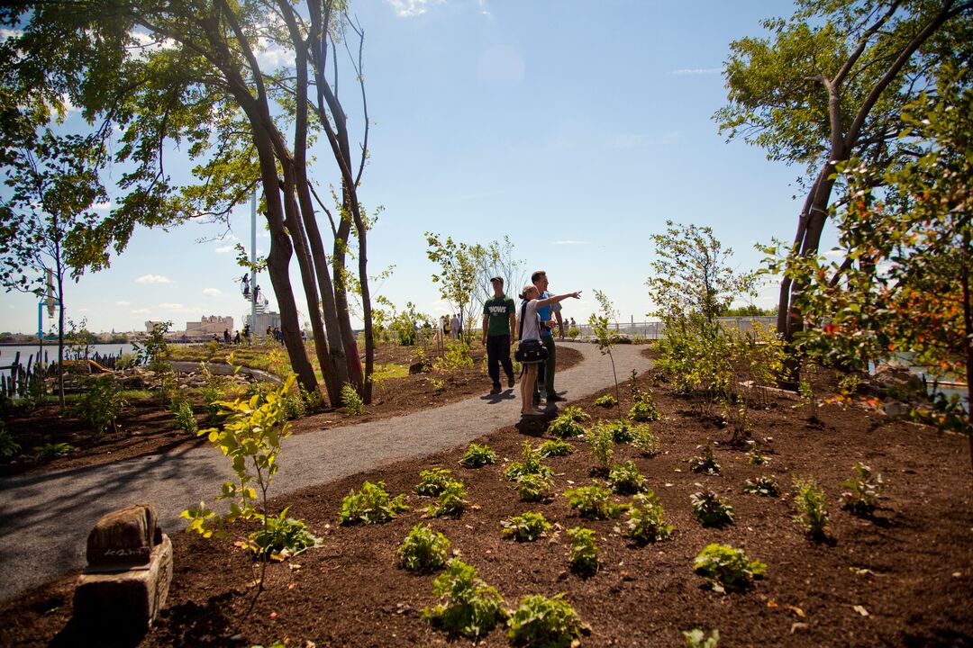 Washington Avenue Green