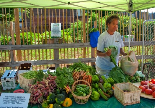 Marathon Farm