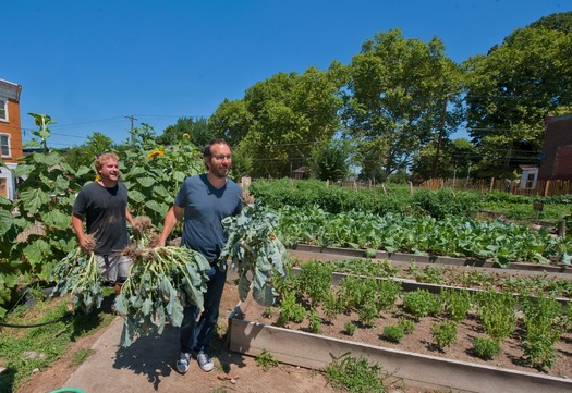 Marathon Farm