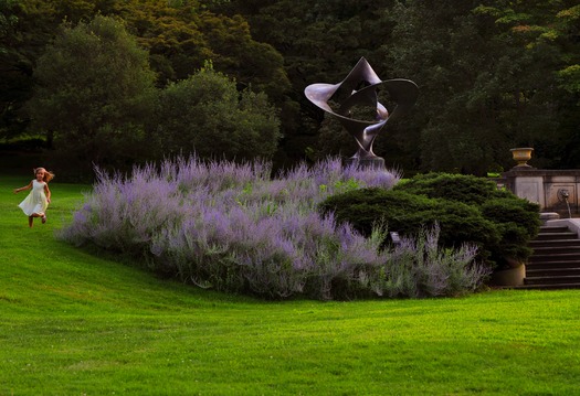 Morris Arboretum