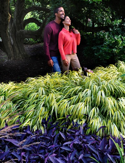 Morris Arboretum