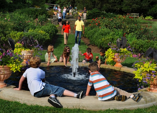 Morris Arboretum