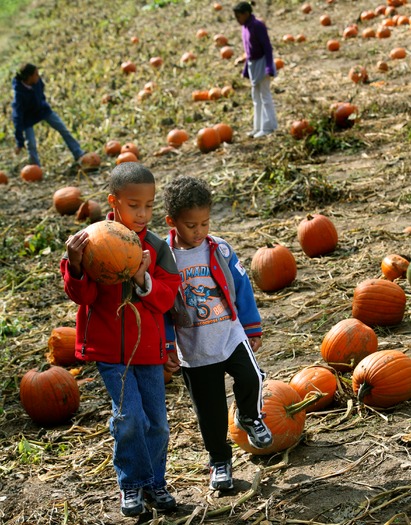 Merrymead Farm