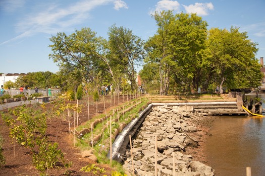 Washington Avenue Green