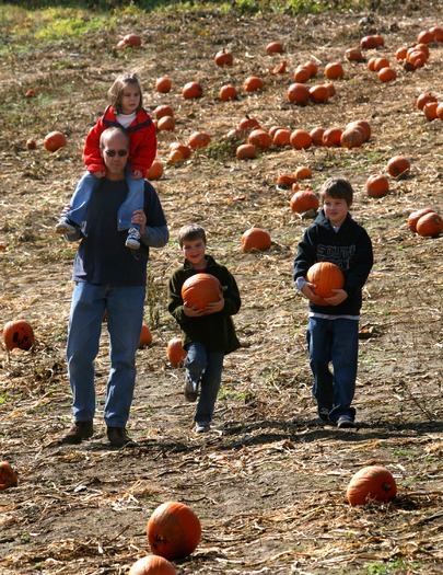 Merrymead Farm