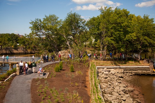 Washington Avenue Green