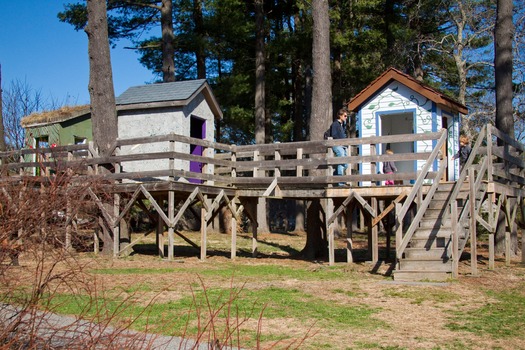 Tyler Arboretum