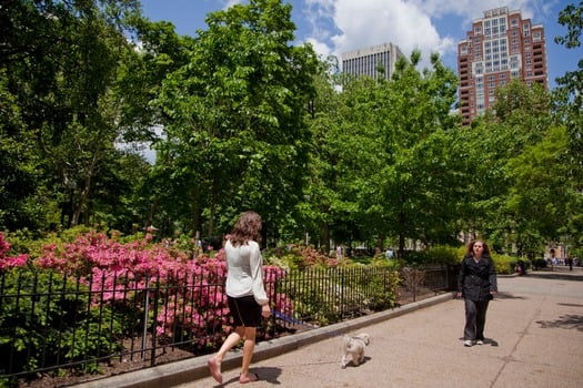 Rittenhouse Square