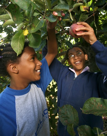 Merrymead Farm