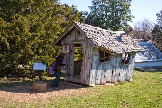 Tyler Arboretum