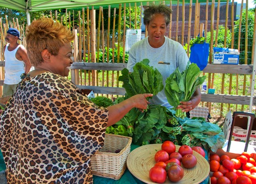 Marathon Farm