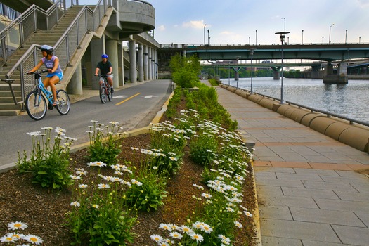 Schuylkill River Bank