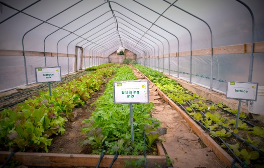 Greensgrow Farms