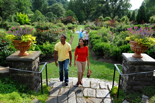 Morris Arboretum