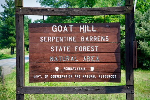 Goat Hill Serpentine Barrens