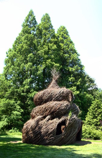 Morris Arboretum