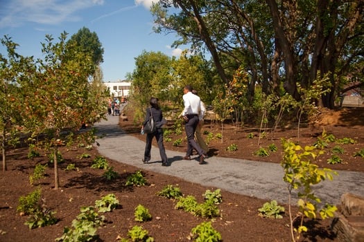 Washington Avenue Green