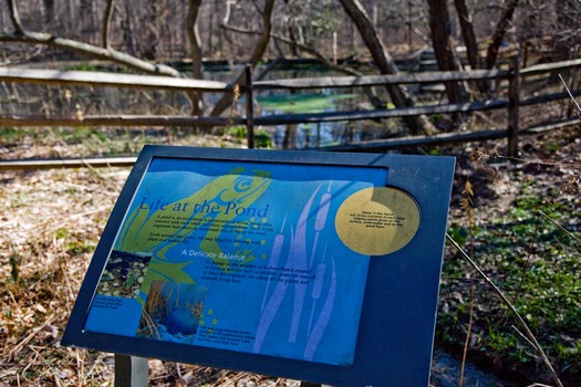 Tyler Arboretum