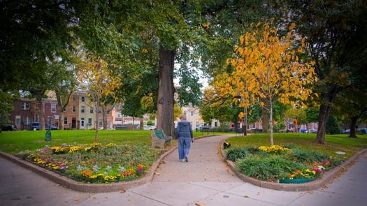 Palmer Park; Fishtown