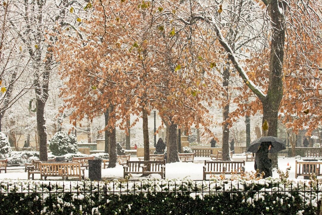 Rittenhouse Square