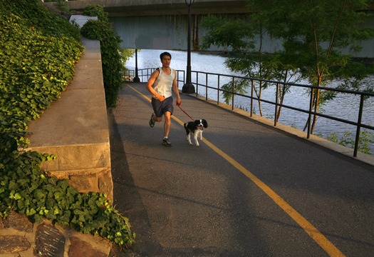 Schuylkill River Bank