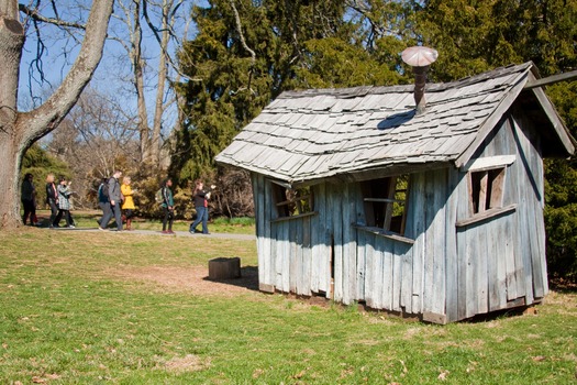Tyler Arboretum