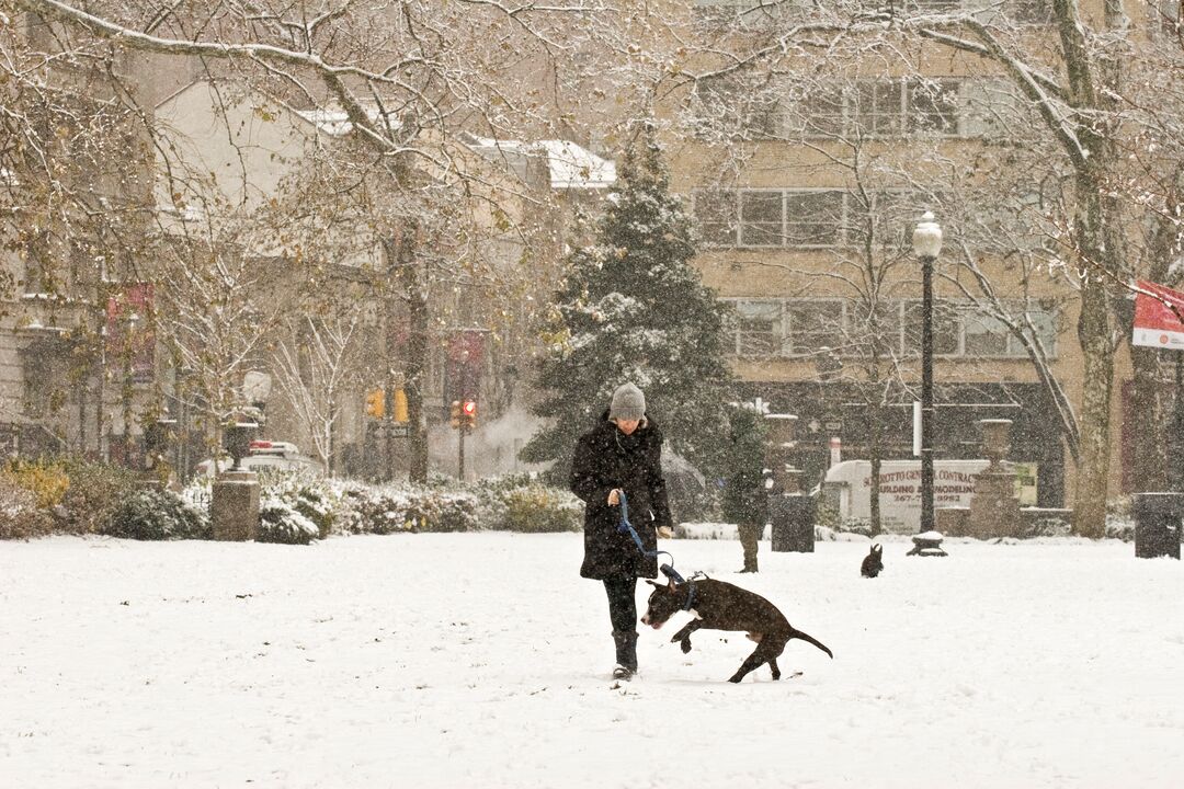 Rittenhouse Square