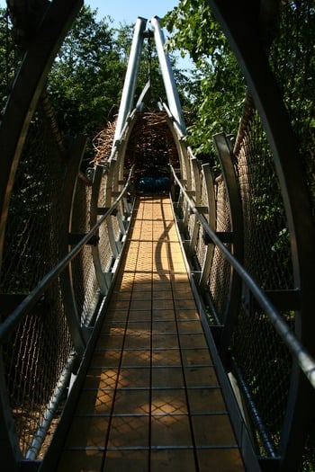 Morris Arboretum