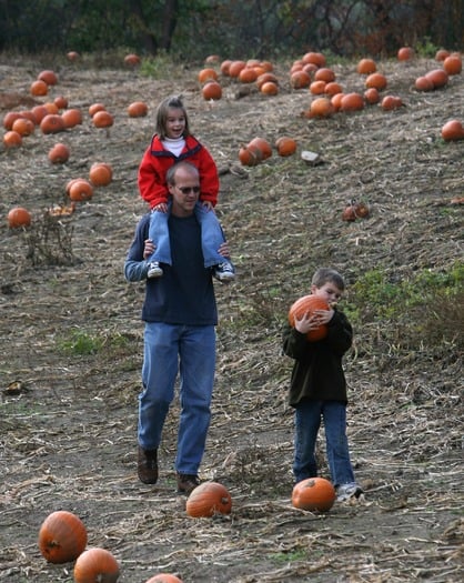 Merrymead Farm