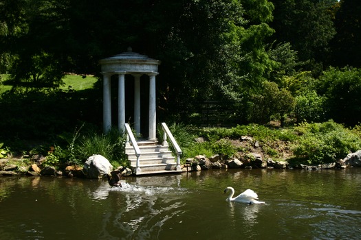 Morris Arboretum