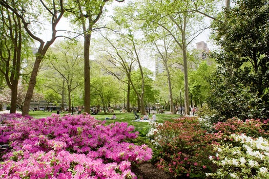 Rittenhouse Square