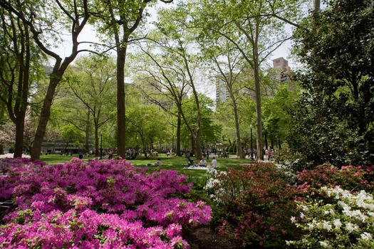 Rittenhouse Square