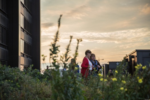 PECO Green Roof Tours