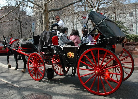 Carriage Rides