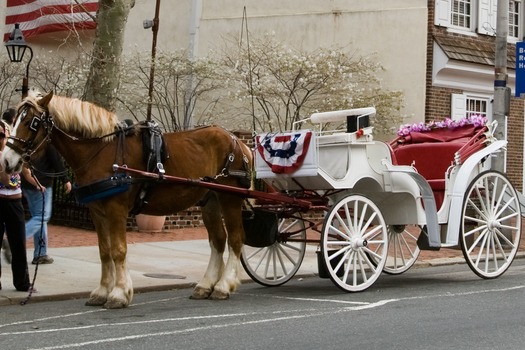 Carriage Rides