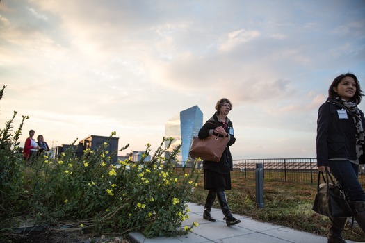 PECO Green Roof Tours