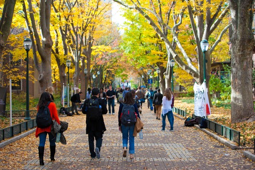 Locust Walk