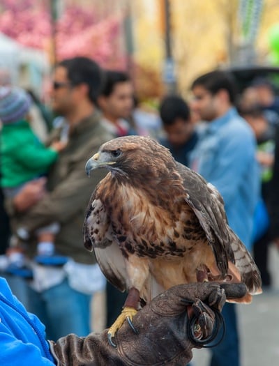 Philadelphia Science Festival