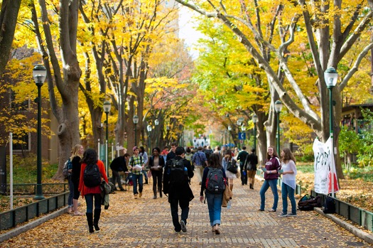 Locust Walk