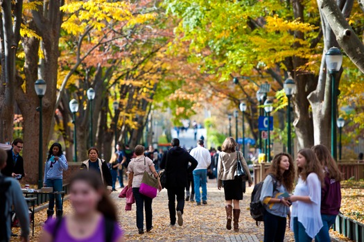 Locust Walk