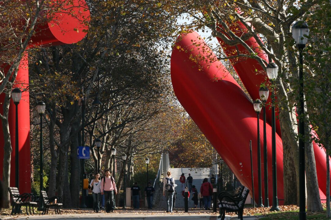 Locust Walk Fall