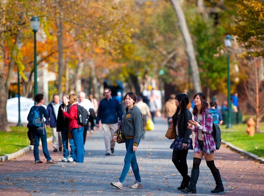 Locust Walk