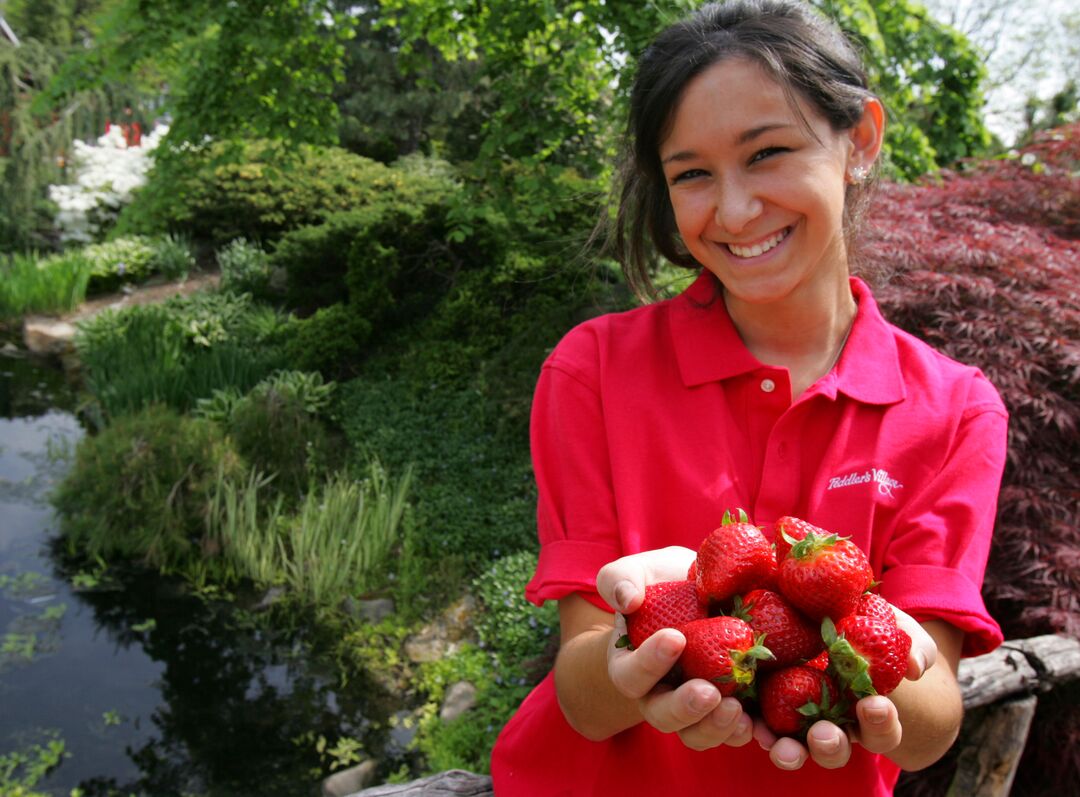 Strawberry Fest