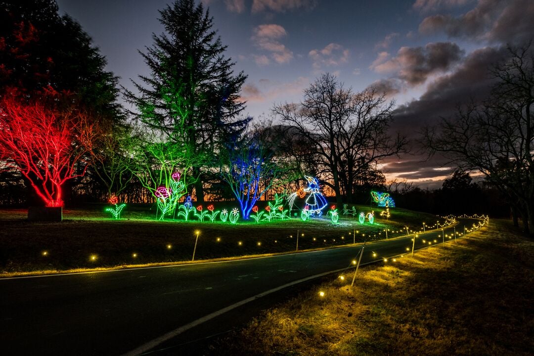 Tanglewood Festival of Lights