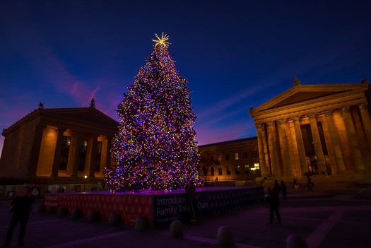 Philadelphia Museum of Art Christmas Tree