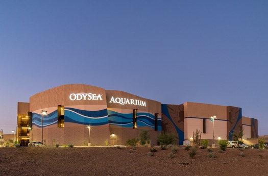 Odysea Aquarium