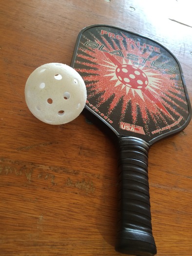Pickleball ball and paddle