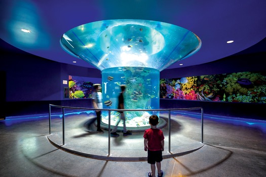 OdySea Aquarium