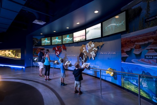 OdySea Aquarium